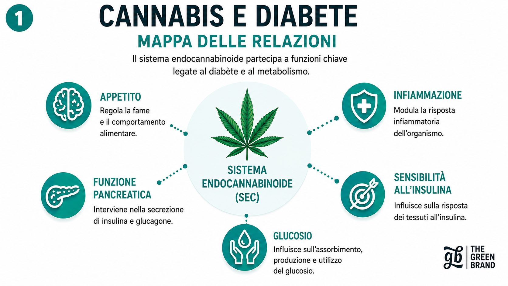 Tipi di diabete esistenti e in cosa differiscono