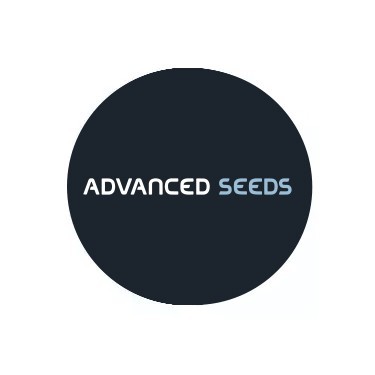 Semillas Feminizadas Advanced Seeds