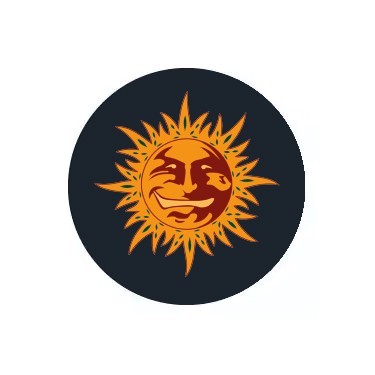 Barneys Farm Semillas feminizadas