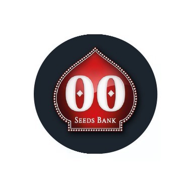 Semillas autoflorecientes 00 Seeds Bank