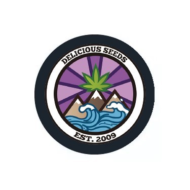 Delicious Seeds Feminized 