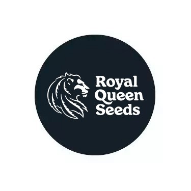 Royal Queen Seeds Feminized 