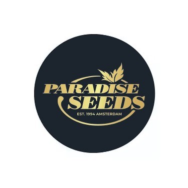 Semillas autoflorecientes Paradise seeds