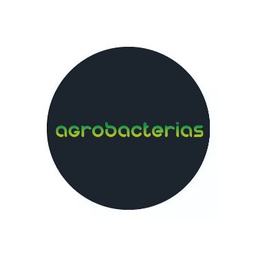 Agrobacterias