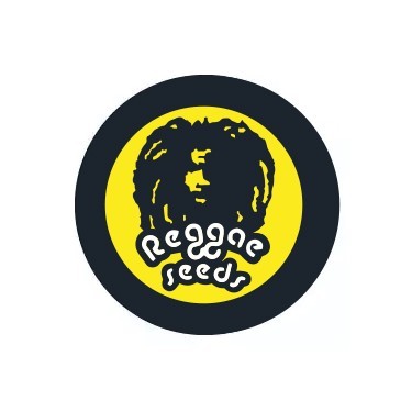 Reggae Seeds Feminized
