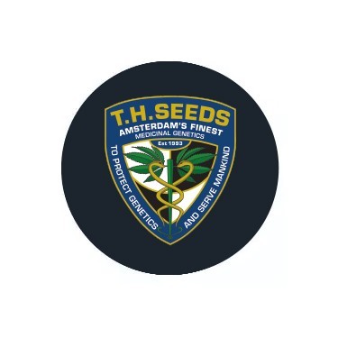 Semillas autoflorecientes T.H.Seeds