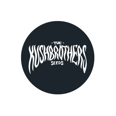 Semillas feminizadas The Kush Brothers Seeds