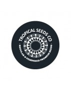 Semillas feminizadas Tropical Seeds