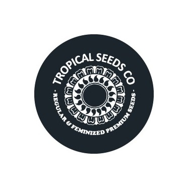Semillas feminizadas Tropical Seeds