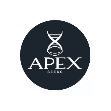 Semillas feminizadas Apex Seeds
