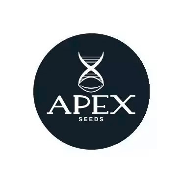 Produtos Sementes Apex