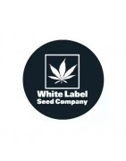 Productos White Label Seeds