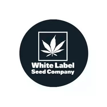 Productos White Label Seeds