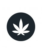 Flores CBD
