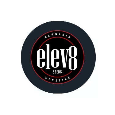 Elev8 Seeds