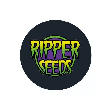 Semillas Autoflorecientes Ripper Seeds