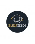 Semillas Feminizadas Silent Seeds
