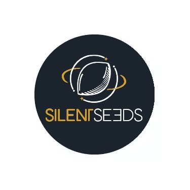  Semillas autoflorecientes Silent Seeds  