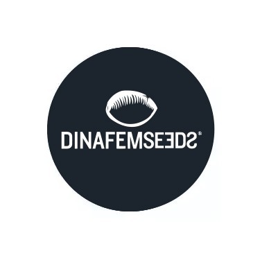 Dinafem Seeds Feminized