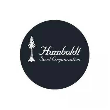 Semillas Regulares Humboldt Seed Organization