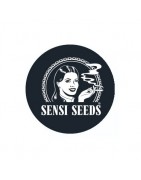 Sensi Seeds