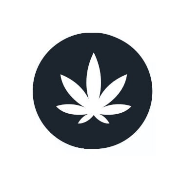 Óleo CBD Full Spectrum