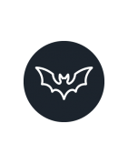 Guano de Murciélago