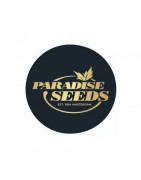 Paradise Seeds Semillas feminizadas