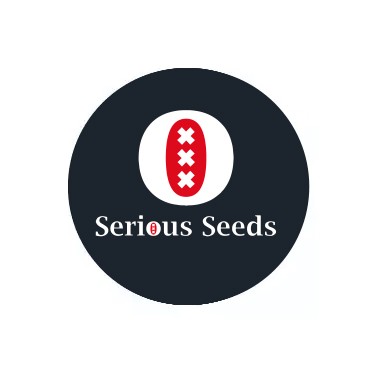 Semillas autoflorecientes Serious Seeds