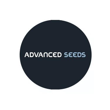 Semillas autoflorecientes Advanced Seeds