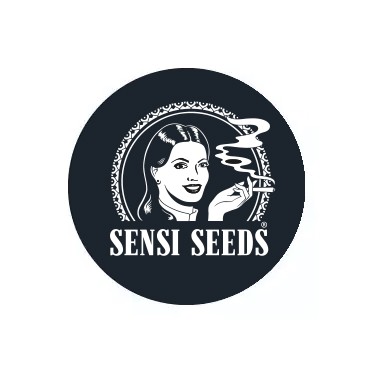 Semillas autoflorecientes Sensi Seeds