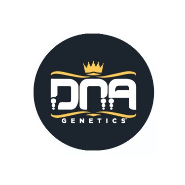 Semillas feminizadas DNA Genetics