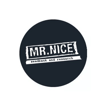 Semillas regulares Mr. Nice Seedbank