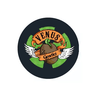 Semillas feminizadas Venus Genetics