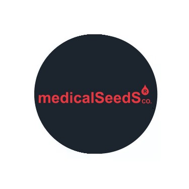 Semillas regulares Medical Seeds