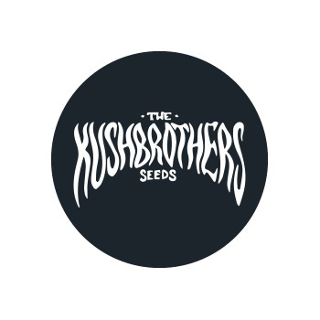 Semillas feminizadas The Kush Brothers Seeds