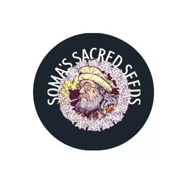 Semillas feminizadas Soma Seeds