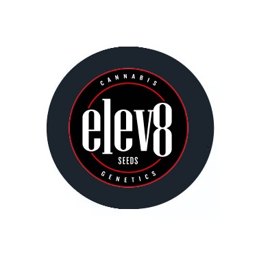 Go to Elev8 category