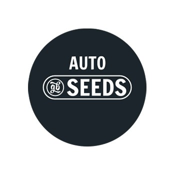 Semillas autos a granel