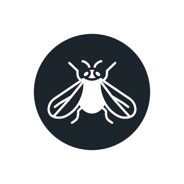 Insecticida para mosca blanca