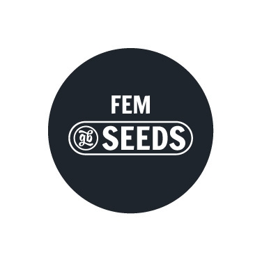 Semillas a granel feminizadas