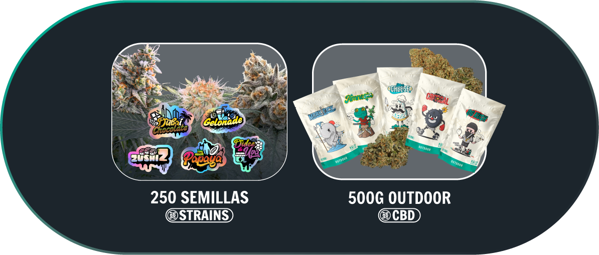 Sorteo 15º aniversario GB