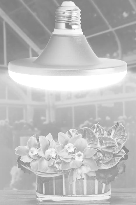 Lampes horticoles LED