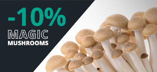 Kit Magic Mushrooms